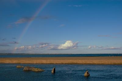 Tentsmuir Point