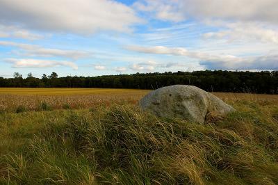 350 The Falcon Stone.