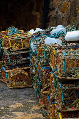 Crail Pots