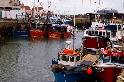 Pittenweem Harbour.