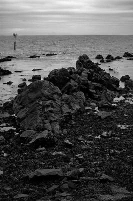 Pittenweem Rocky Shoreline.