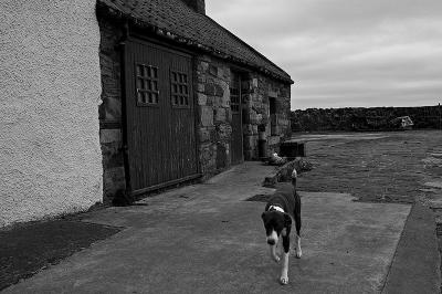 Crail and Pittenweem