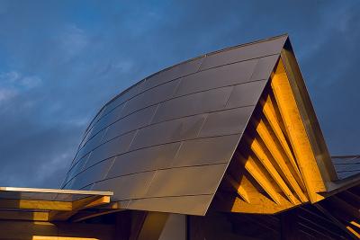 Gehry Roof.