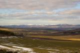 Angus View.