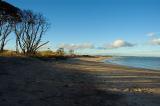 Tentsmuir Point