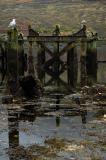 Arrochar Pier.