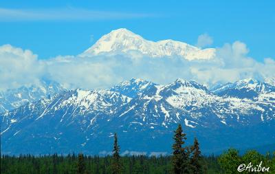 Mt McKinley 03.jpg