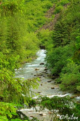 Falling Creek 07.jpg