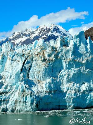 Glacier Bay 070.jpg