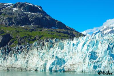 Glacier Bay 071.jpg