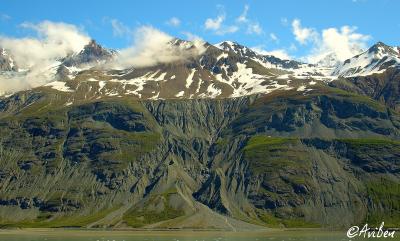 Glacier Bay 077.jpg