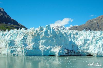 Glacier Bay 078.jpg