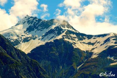 Glacier Bay 084.jpg