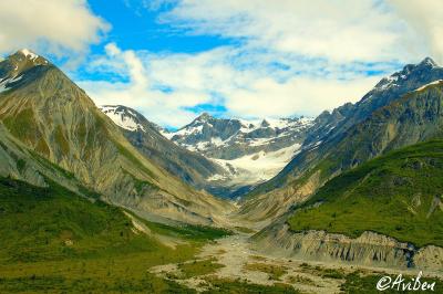 Glacier Bay 105.jpg