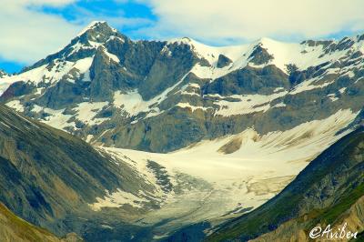Glacier Bay 107.jpg