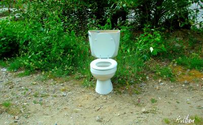 Outdoor Toilet - Skagway.jpg