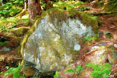 Moss-covered Rock.jpg