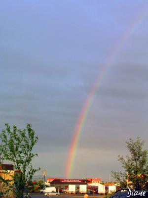 Rainbow - Anchorage - by Di 6-15-05.jpg
