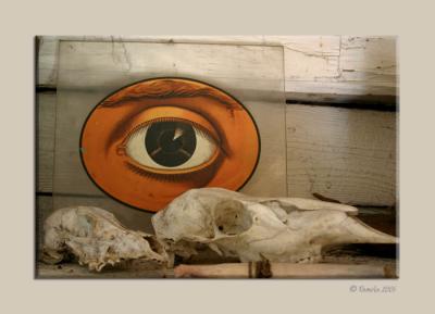 Barn Studio 5
