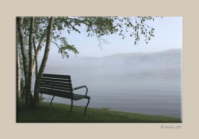 Morning Fog 2