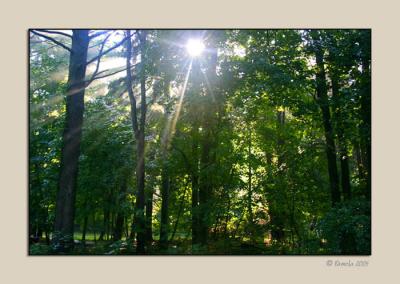 Early Light