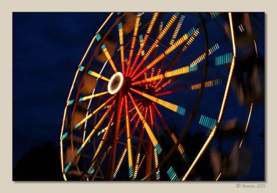 Spider Web of Lights