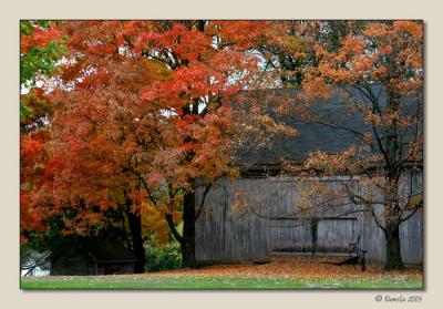 Barn Decoration