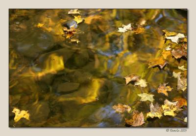 Liquid Gold