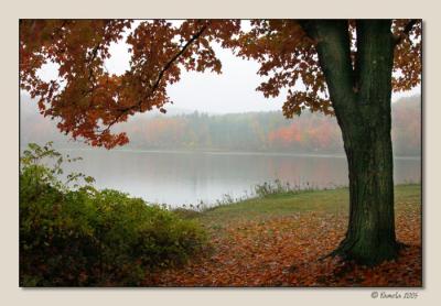 Soft Day at the Lake ~ Rensselaerville, NY
