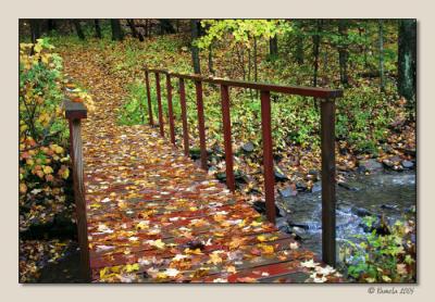 Trail Head ~ Rensselaerville, NY