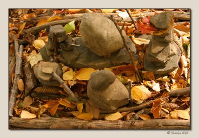 A Woodland Offering