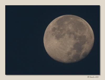 Harvest Moon