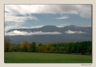 Mountain Scene