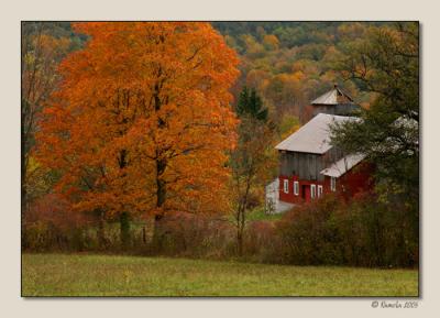 Nestled Barn