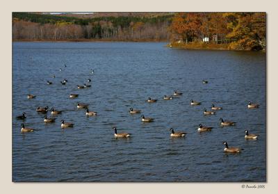 Visitors to Lake Myosotis ~ Rensselaerville, NY