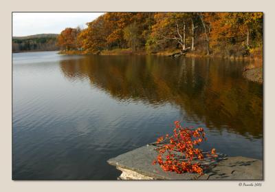 Bittersweet by the Lake ~ Rensselaerville, NY