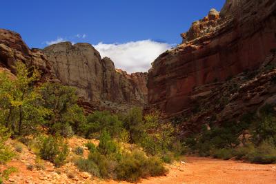 Capitol Reef Canyon