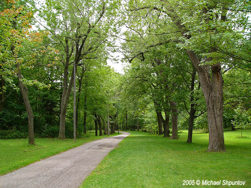 Parc Mont-Royal