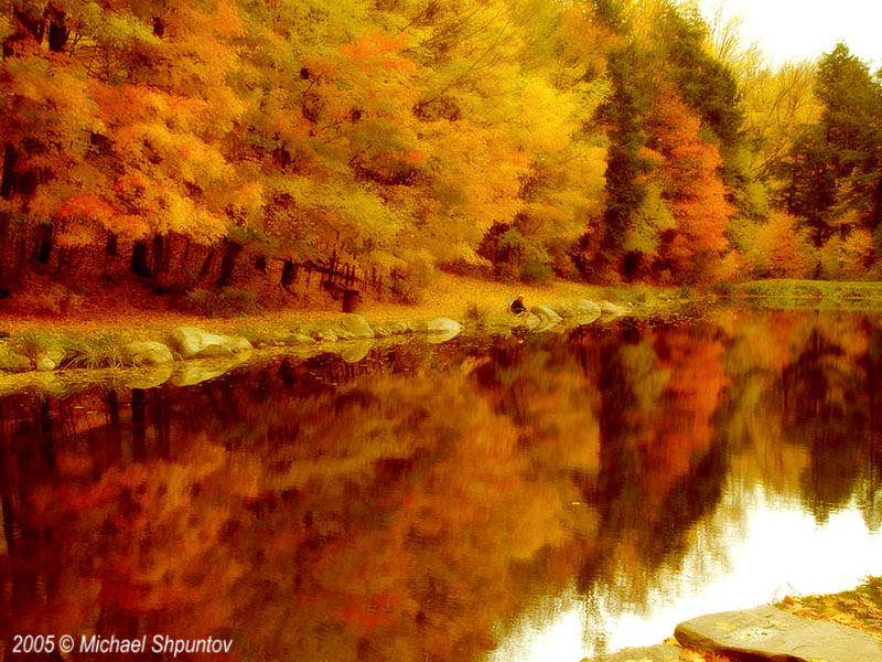 Fisherman - Glen Haffy Conservation Area