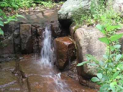 107-005-02W-1024.jpg