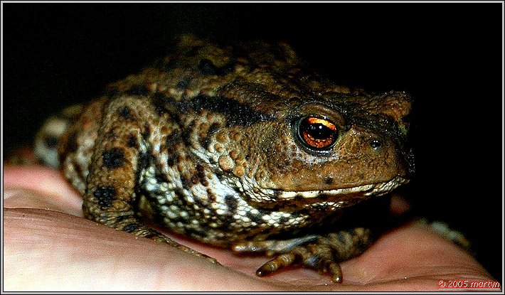 DSC_00151879 fred.jpg