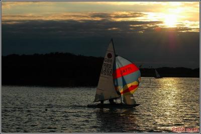 DSC_00971431Yacht race 1.jpg