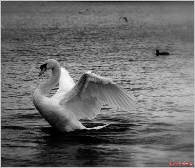 DSC_1091290  October night.jpg