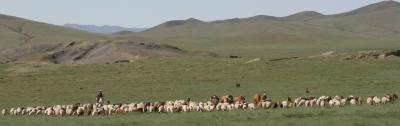 My First View of Mongolian Herdswomen