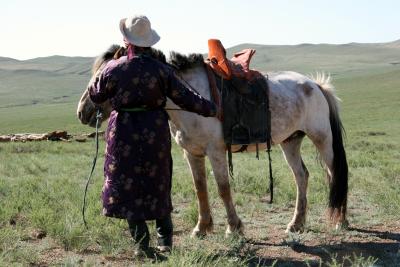 HorseHerdTeacher