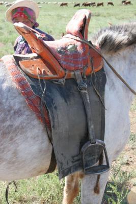 Traditional Mongolian Saddle