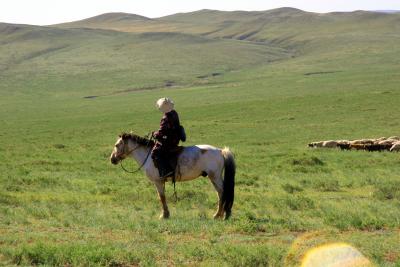 Mongolian Herdswomen