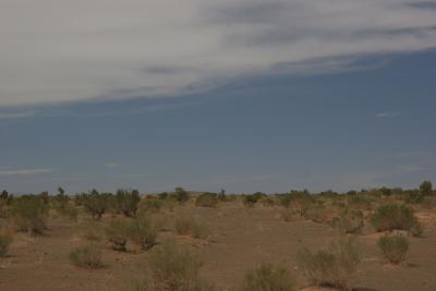 DesertScenery1