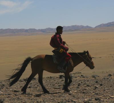 three_camels_horseman