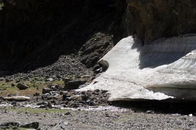 GorgeSceneryGlacier.jpg